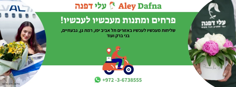 חנות פרחים ברמת גן, עלי דפנה